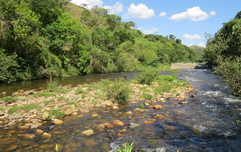 Rio São Francisco